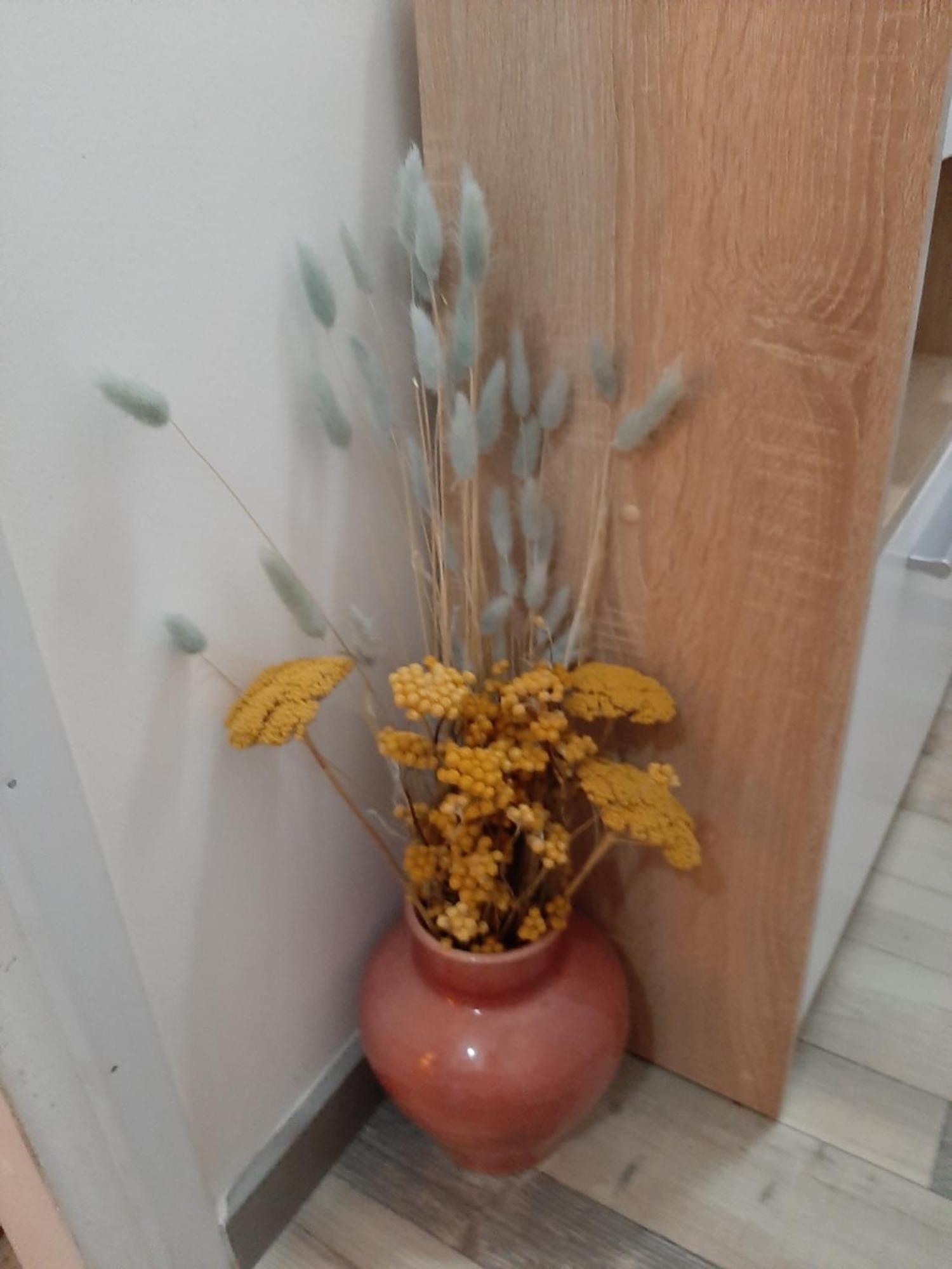 Appartement Nergens à Rotterdam Extérieur photo
